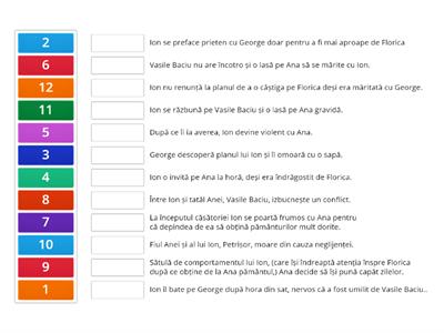  Ion - plan de idei 