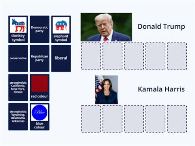 US presidential election 2024