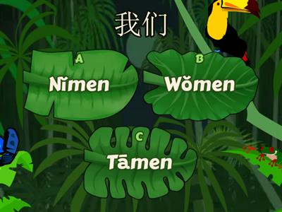 Chinese Pronouns