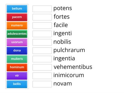 Adjektive und Substantive ordnen (prima L13)