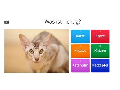 Deutsch Quiz