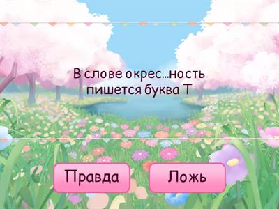 Русский язык 4 класс (опрос)