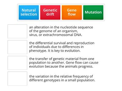 Evolution