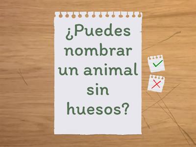 Animales Invertebrados 