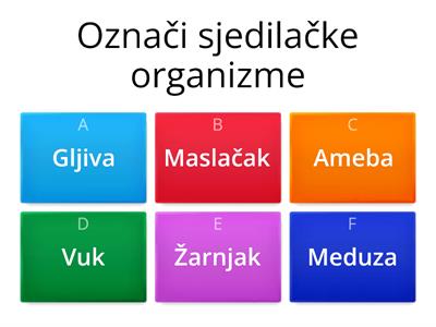 Zašto svi organizmi nemaju krvotok