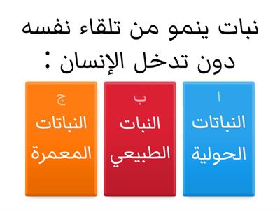 النباتات الطبيعية في دولة الإمارات العربية المتحدة 