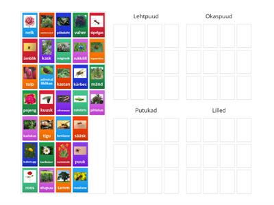 Sorteeri (puud; putukad; lilled)