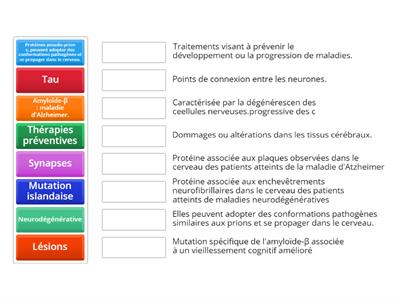 Correspondance sur les Termes Neurodégénératifs