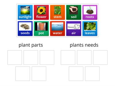 Plant needs and parts