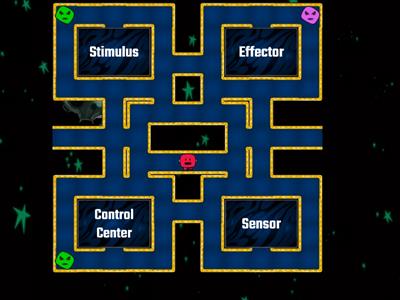 Maze Chase: Evaluation on Nervous System