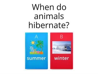 Hibernation bibb
