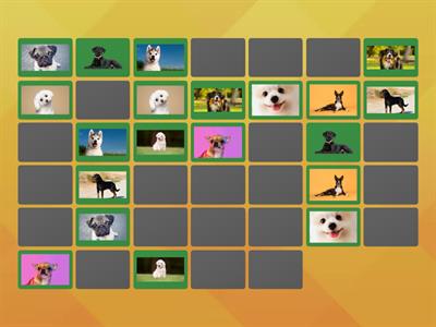 Breeds of Dogs Card Sort
