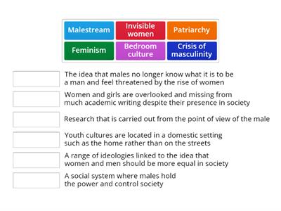 feminism and youth culture