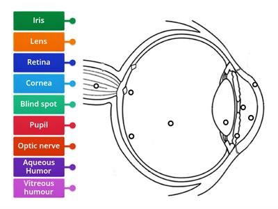 S8 Label the Eye Diagram