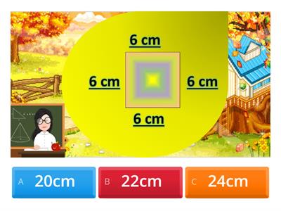 Perimeter-Activity