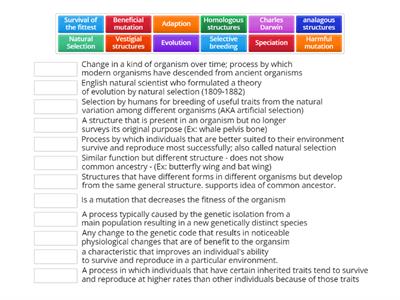 Adaptation and Evolution