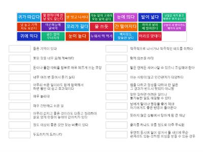 다시 6학년 국어 관용표현1