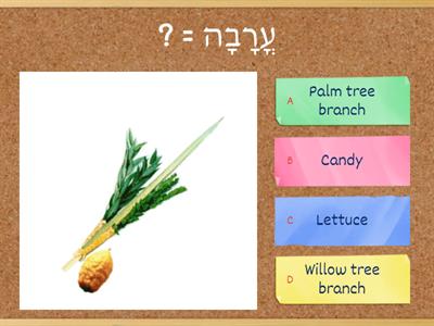 How well do you know Sukkot?