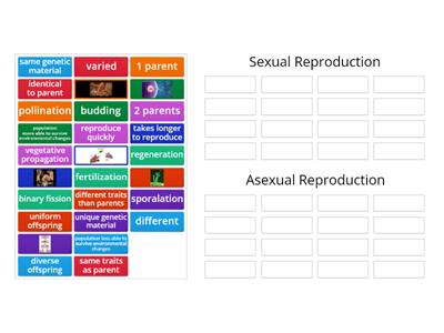 Sexual vs Asexual Reproduction Card Sort