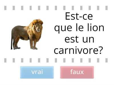 carnivore - herbivore - omnivore