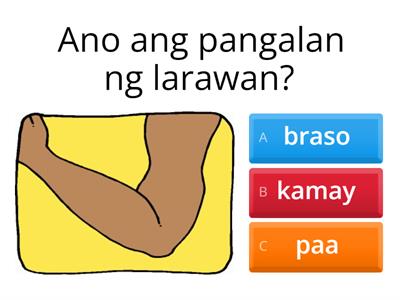 Kambal Katinig o Klaster