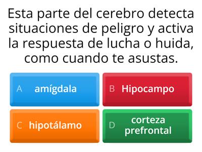 Quiz Emocional