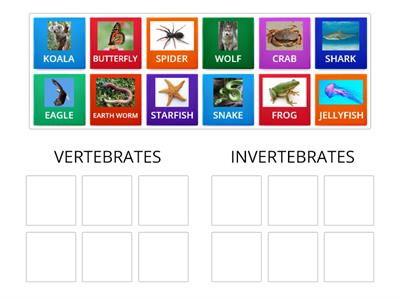 VERTEBRATES/INVERTEBRATES_ classification 
