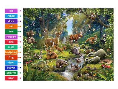 Label the animals in the forest