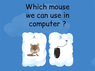 Computer Mouse Quiz