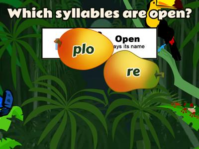 4.2 Open and Closed Syllables