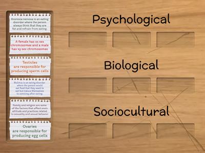 Dimensions of Human Sexuality