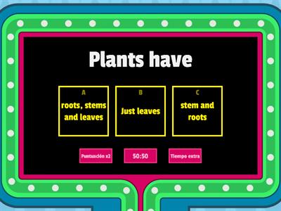 3. Plants