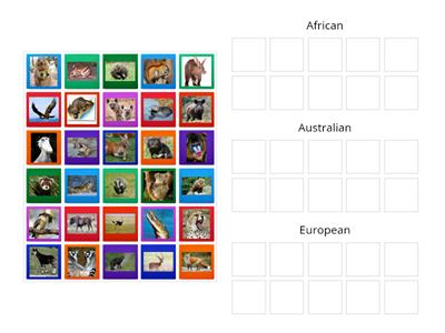 European - Australian & African animals