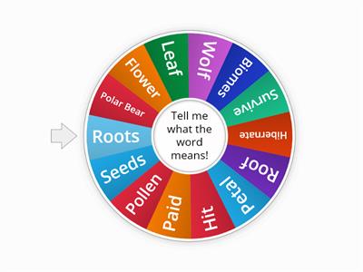 Stage 3 Unit 2 Period 15 Random Wheel