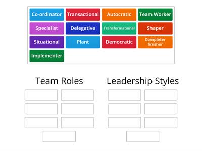 Team roles vs Leadership Styles 