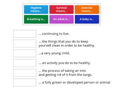 Animals including humans vocabulary Year 2