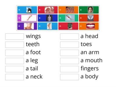 DD1 U6 Body Parts