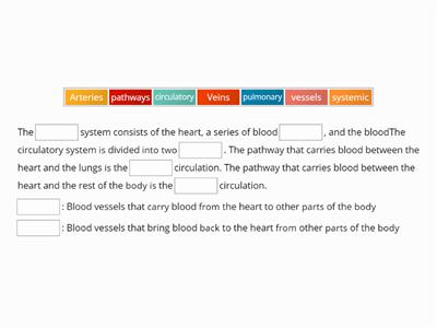 Yassein_Circulatory System 