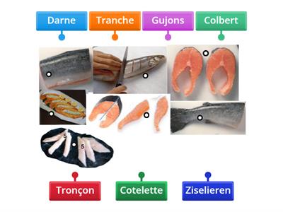 Fisch Schnittarten Vorbereitungsarten