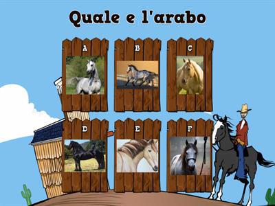 equitazione