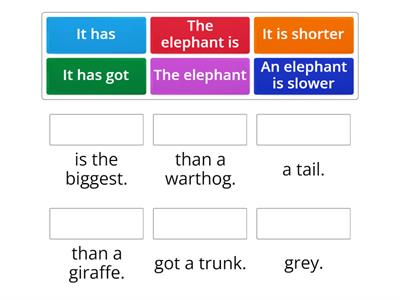 Elephants sentences
