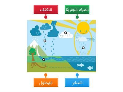 دورة الماء علوم خامس