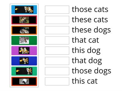 This/that/these/those_Dogs&Cats