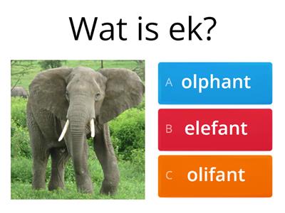 Afrikaans Wilde Diere