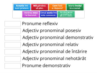 Pronumele și adjectivul pronominal - recapitulare (2)