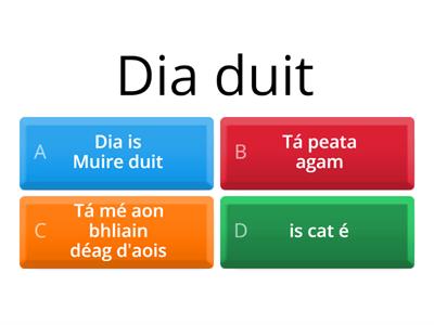 Seachtain na Gaeilge Phrases