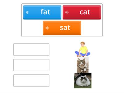 CPF1-FAT CAT SAT