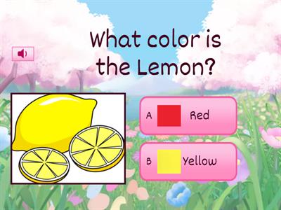  Color Quiz