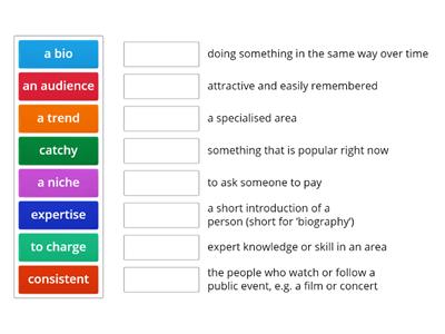 Social media influencers: Vocabulary