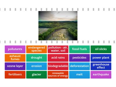 Ecology and environment - vocabulary